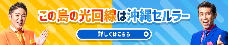 この島の光回線は沖縄セルラー 詳しくはこちら