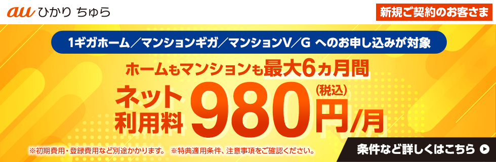 1ギガホーム/マンションギガ/マンションV/Gへのお申し込みが対象 ホームもマンションも最大６カ月間ネット利用料980円/月