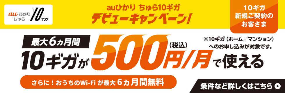 auひかり ちゅら10ギガデビューキャンペーン