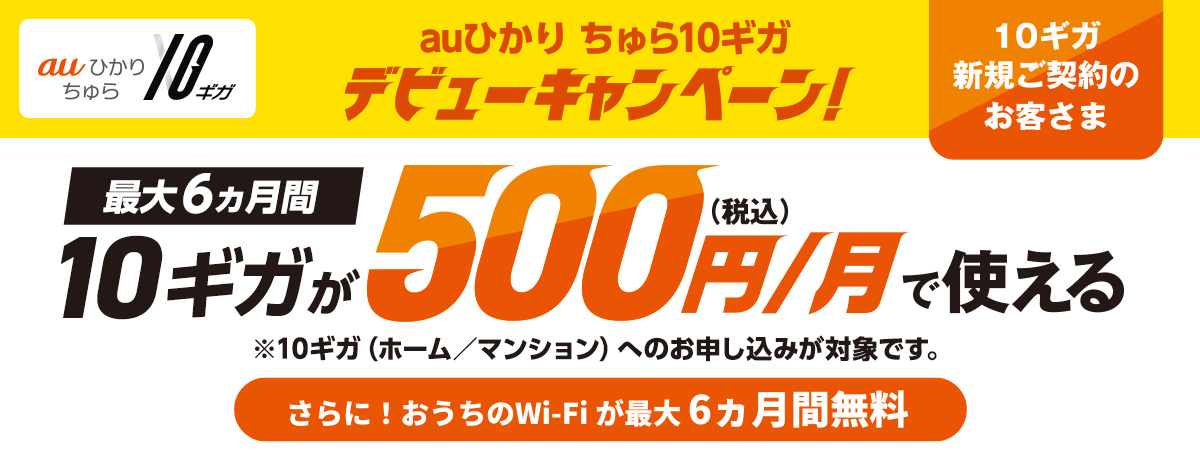 auひかり ちゅら10ギガ デビューキャンペーン　最大6ヵ月間10ギガが500円/月で使える