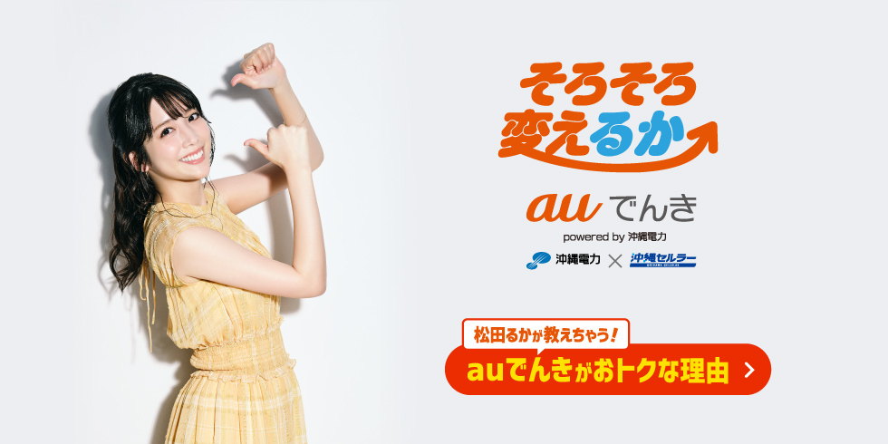 そろそろ変えるか auでんき