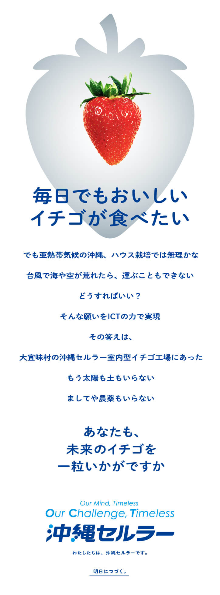 美ら島ベリー｜社会貢献活動｜沖縄セルラー電話株式会社