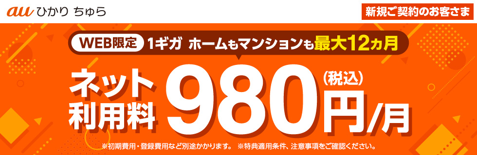 WEB限定 1ギガ ホームもマンションも最大12カ月間ネット利用料980円/月
