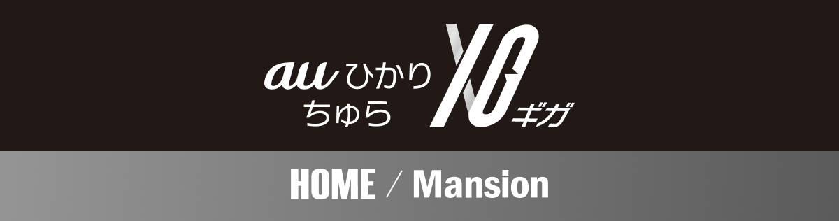 auひかり ちゅら 10ギガホーム/マンション