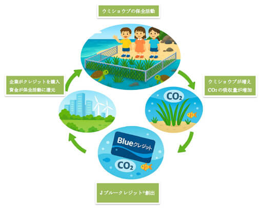 石垣から会見に参加した野底小学校の5、6年生（中央）