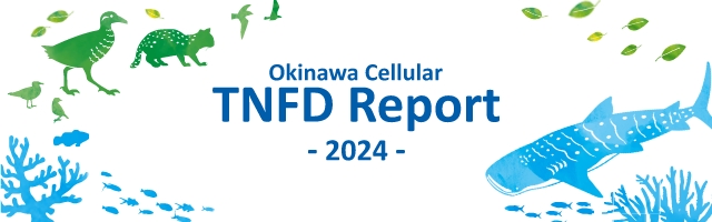 TNFD report 2024