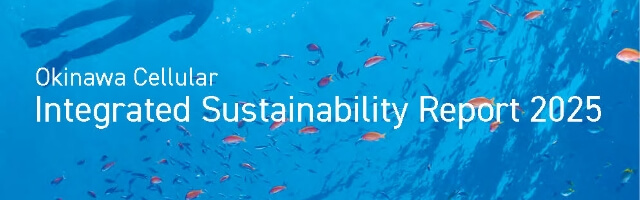 Integrated Sustainability Report 2025